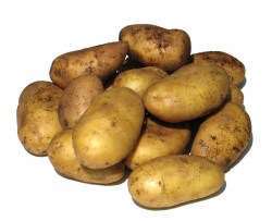 PotatoFARMER
