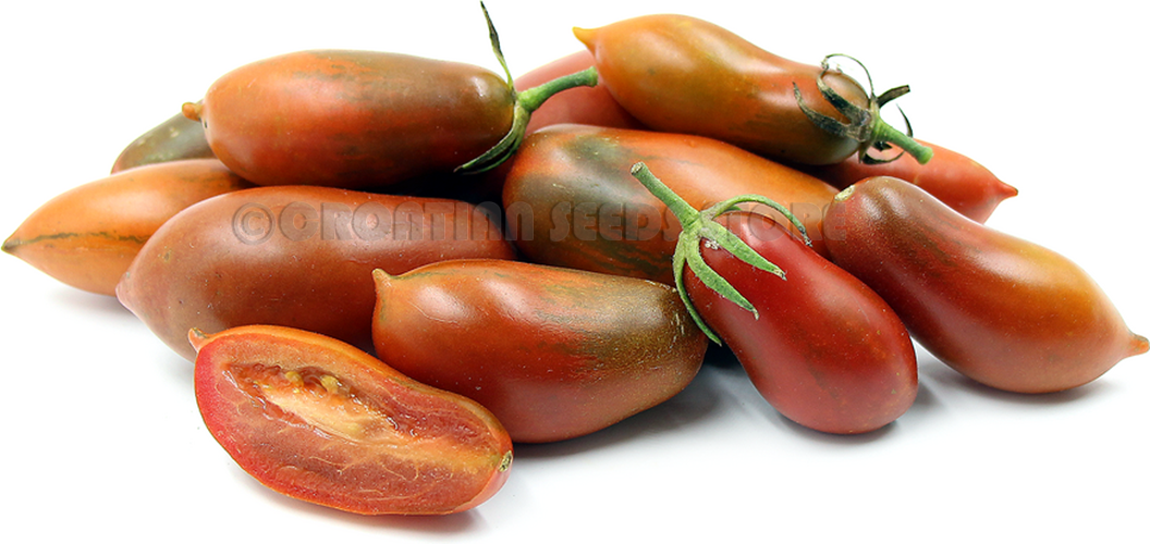 10 Seeds Russian Heirloom Vegetable Chornaya Sosylka Tomato BLACK ICICLE- 