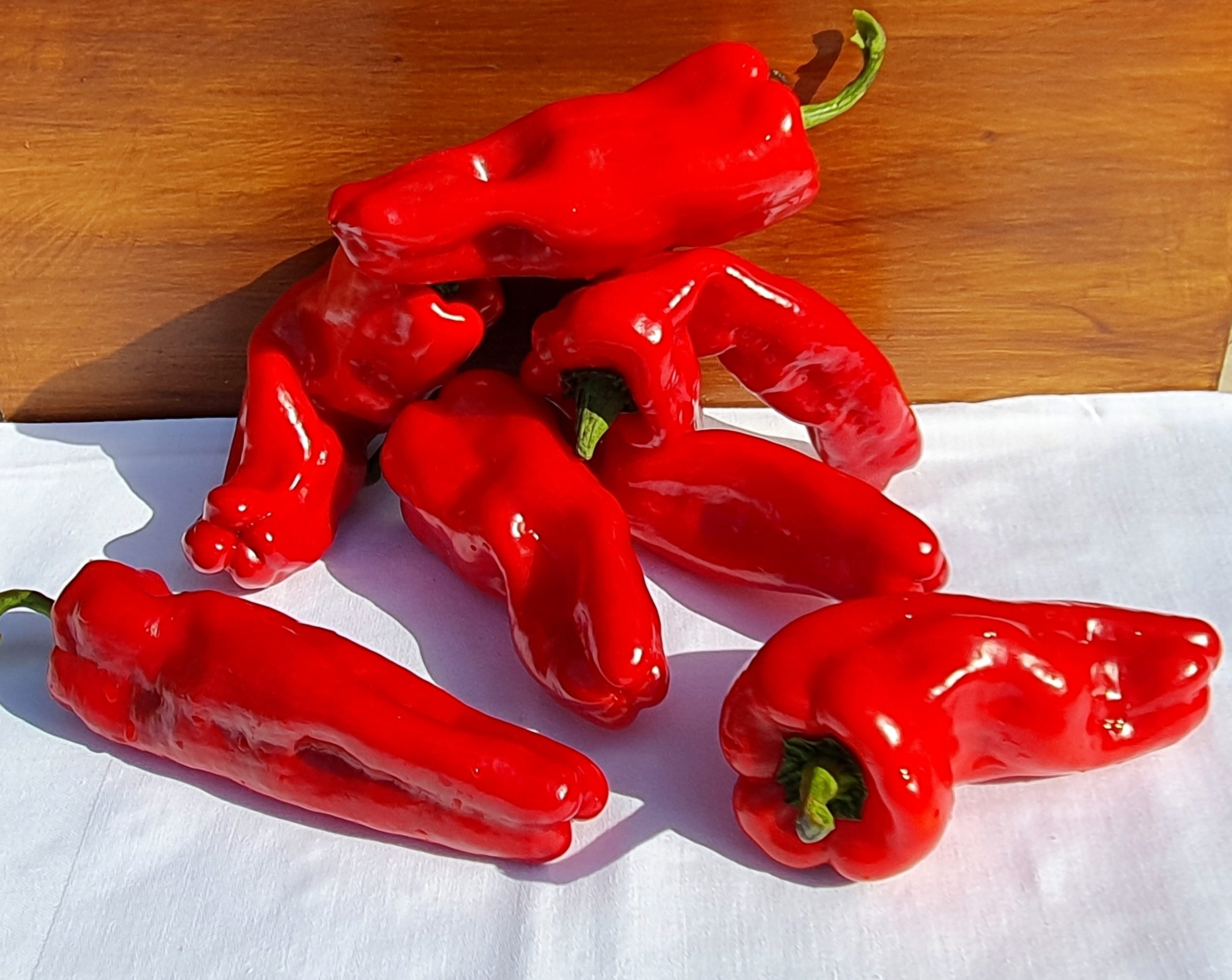 Red peppers: DOUX D'ESPAGNE ( Mammoth) Sweet