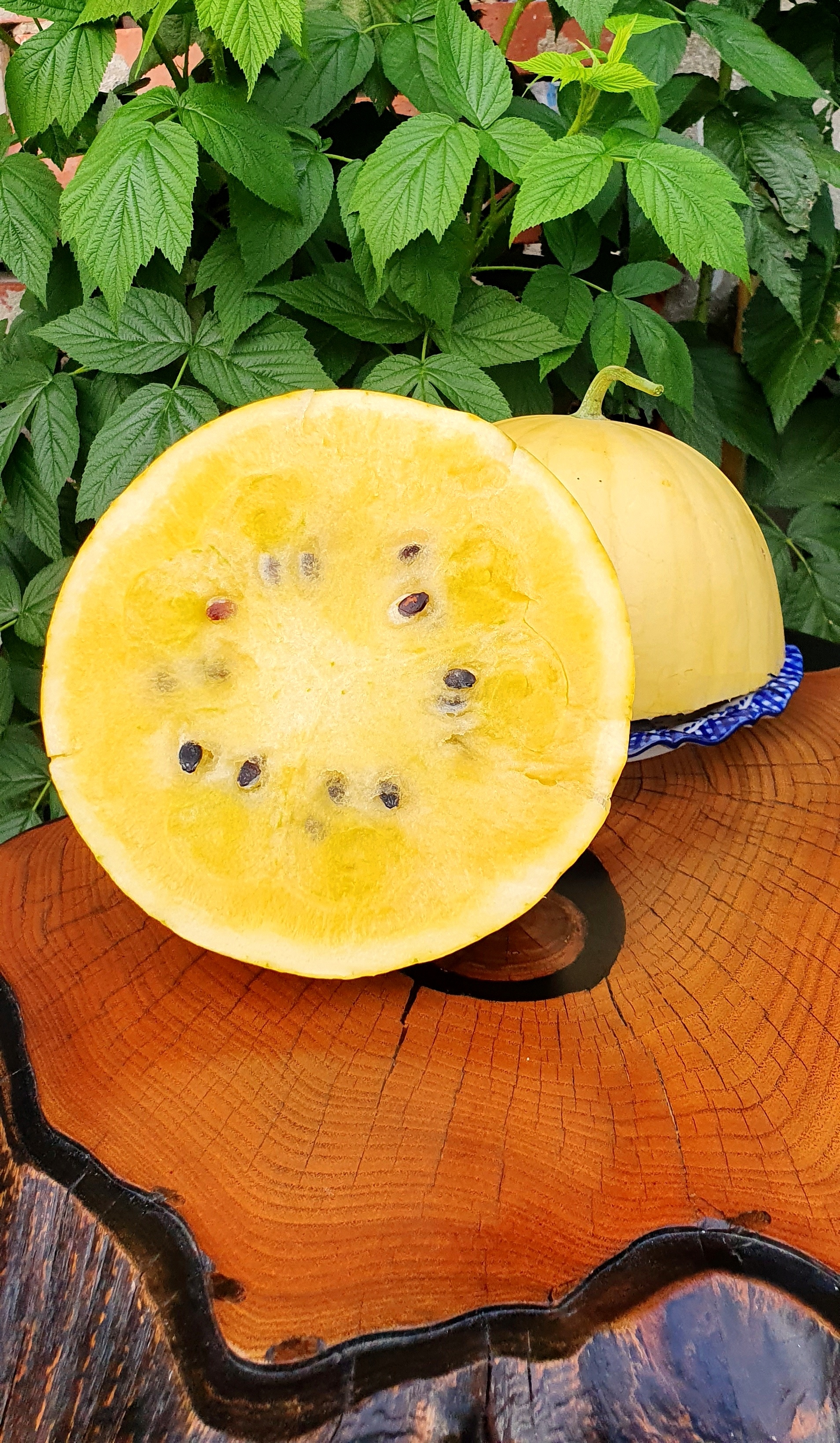 Watermelons: LEMON DROP Watermelon